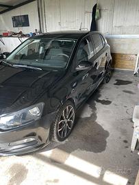 Wv polo