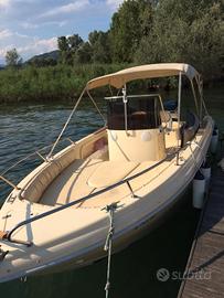  barca  motore e carello stradale 