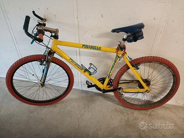 Bicilcletta montain bike pinarello