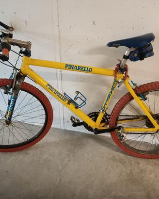 Bicilcletta montain bike pinarello