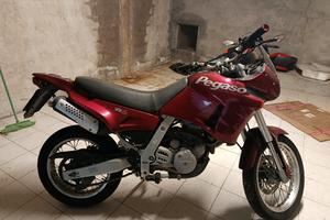 Pegaso 650