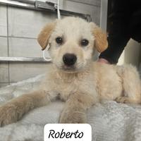 Marion e Roberto aspettano una famiglia