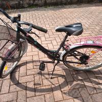 bicicletta 20