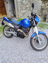 Honda Vigor 650