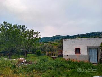 Terreno con fabbricato