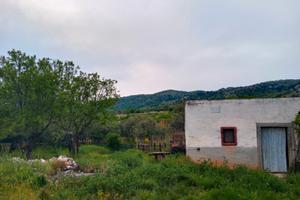 Terreno con fabbricato