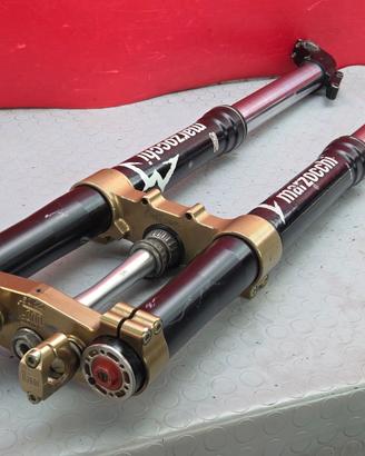 STELI FORCELLA TM RACING MX 250 4t 2008 2010 MX250