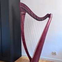 Arpa Celtica Salvi Prima 38