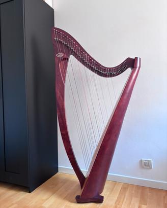 Arpa Celtica Salvi Prima 38
