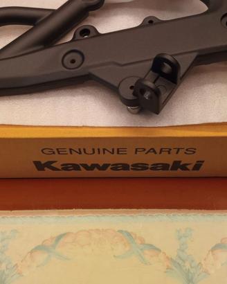 Pedana destra Kawasaki ern6