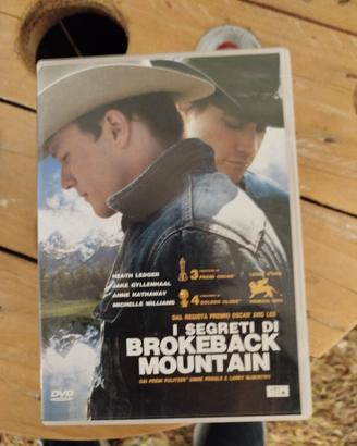 6 DVD 