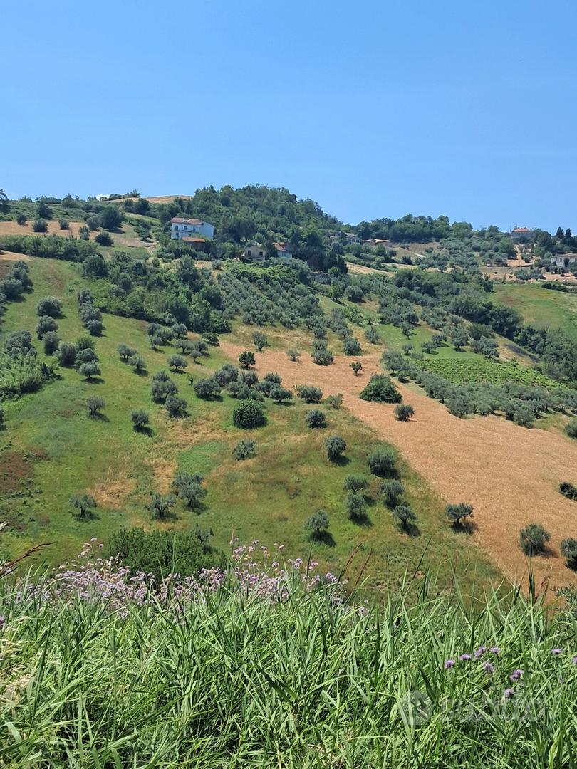 Terreno agricolo - Vista 3