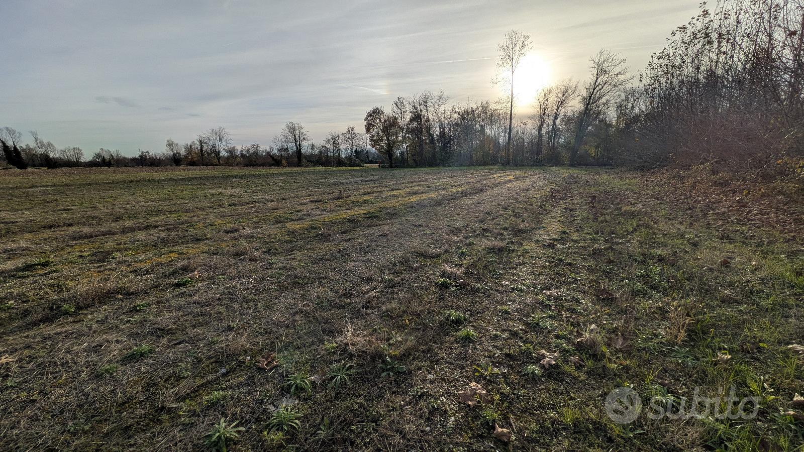 Terreno agricolo - Bannia di Fiume Veneto (PN) - Altro