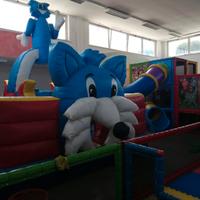 gonfiabile gatto Silvestro 🐱 5x4