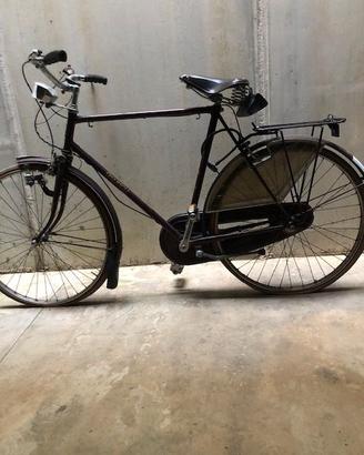 Bicicletta Raleigh