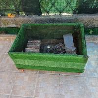 terraio tartarughe da terra