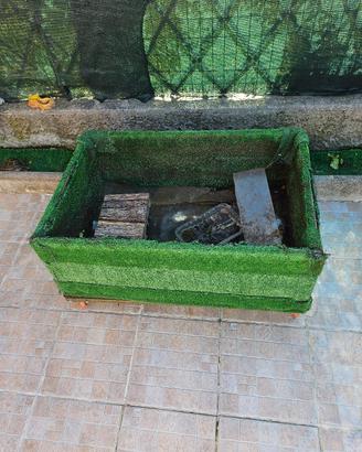 terraio tartarughe da terra