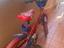 Immagine 1