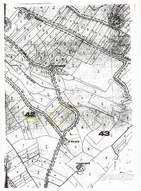 Terreno irriguo unico corpo