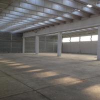 Capannone / Fondo a Capannori