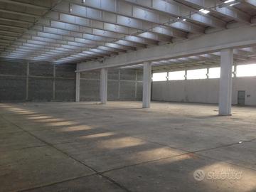 Capannone / Fondo a Capannori