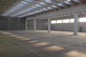 Capannone / Fondo a Capannori