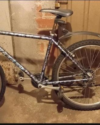 bicicletta 