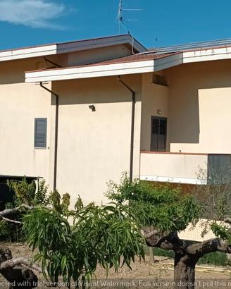 304 Villa unifamiliare Collecorvino