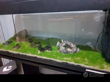 acquario 100 litri