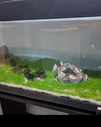 acquario 100 litri