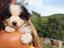 Immagine 6