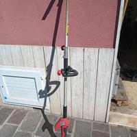 Decespugliatore elettrico Valex