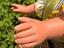 Immagine 4