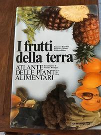 I frutti della terra