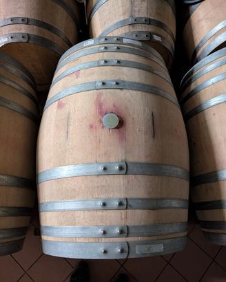Barrique Francesi