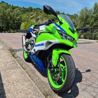 Kawasaki zx4-rr anniversary