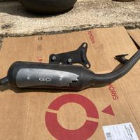 marmitta gianelli go