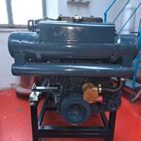 Motori entrobordo VM MD706LH