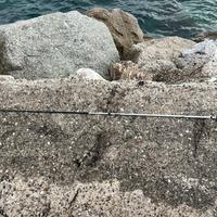 Canna da pesca spinning