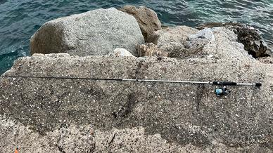 Canna da pesca spinning