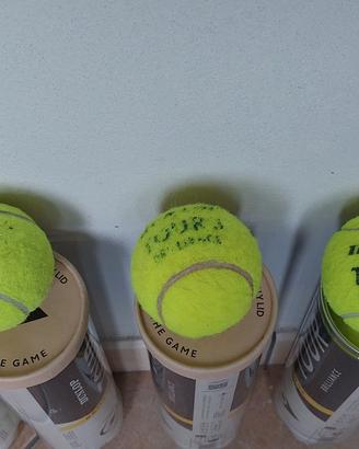 palline tennis dunlop usate 