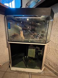 Acquario pesci 150lt