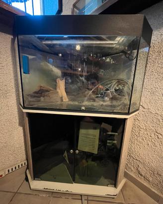 Acquario pesci 150lt