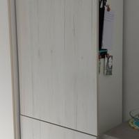 Frigo più congelatore completo di mobile da incass