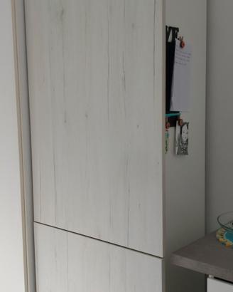 Frigo più congelatore completo di mobile da incass
