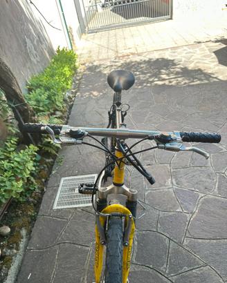 Bici bianchi prezzo bomba poco trattabile