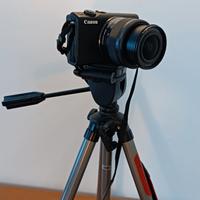 Canon EOS M100 + EF-M 15-45mm + Cavalleto