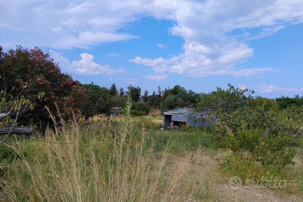 Terreno di 14000 m² a Badolato - Vista 4