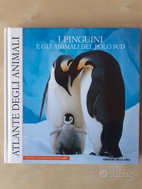 I pinguini e gli animali del polo sud