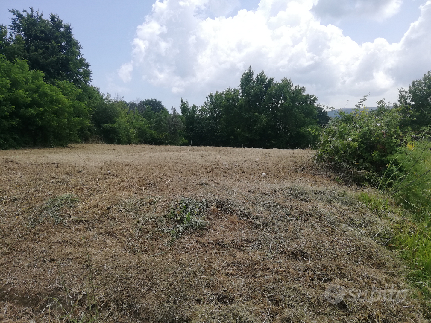 Terreno per costruire - Vista 4